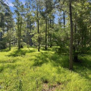 Photo #7 of 101 Hidden Harbor, Beaufort, NC 2.4 acres