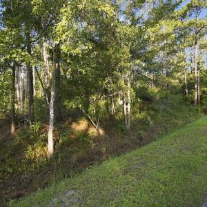 Photo #13 of 1140 Lexington, Southport, NC 0.2 acres