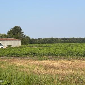 Photo #1 of 3541 Daughety White Road, Kinston, NC 21.3 acres