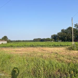 Photo #3 of 3541 Daughety White Road, Kinston, NC 21.3 acres
