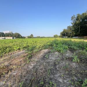 Photo #7 of 3541 Daughety White Road, Kinston, NC 21.3 acres