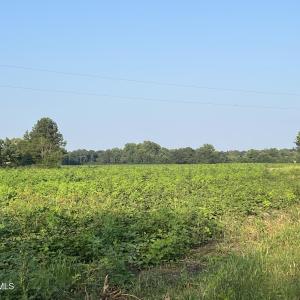 Photo #5 of 3541 Daughety White Road, Kinston, NC 21.3 acres