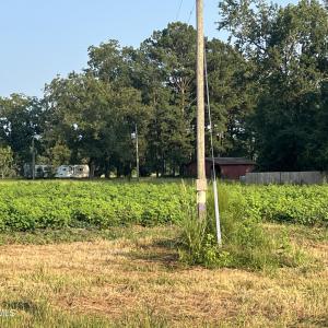 Photo #4 of 3541 Daughety White Road, Kinston, NC 21.3 acres