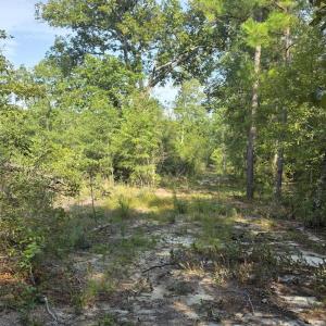 Photo #1 of 131 Spirit, Aiken, SC 3.0 acres