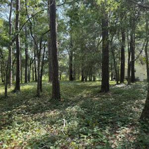 Photo #3 of 3055 Channel, Bolivia, NC 0.2 acres