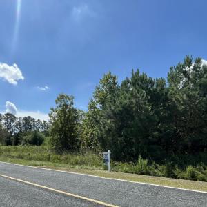 Photo #2 of 1923 Leonard Rich, Magnolia, NC 9.4 acres