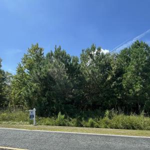 Photo #1 of 1923 Leonard Rich, Magnolia, NC 9.4 acres
