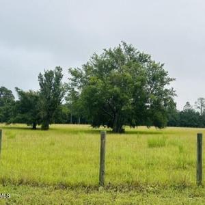 Photo #3 of Bettis Academy, Trenton, SC 2.7 acres