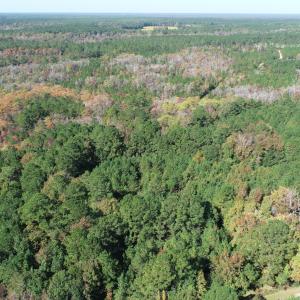Photo #16 of Lot G Tobes, Bolivia, NC 2.8 acres