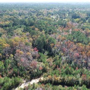 Photo #17 of Lot G Tobes, Bolivia, NC 2.8 acres