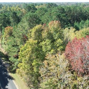 Photo #10 of Lot G Tobes, Bolivia, NC 2.8 acres
