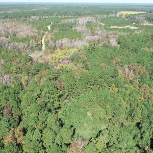 Photo #18 of Lot G Tobes, Bolivia, NC 2.8 acres