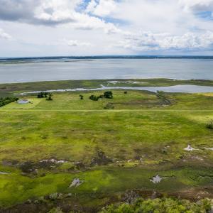 Photo #12 of 220 Blueberry Kennel, Beaufort, NC 131.7 acres