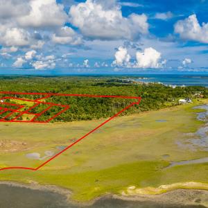 Photo #4 of 220 Blueberry Kennel, Beaufort, NC 131.7 acres