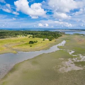 Photo #16 of 220 Blueberry Kennel, Beaufort, NC 131.7 acres