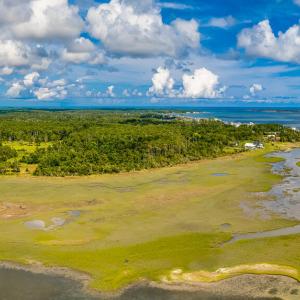 Photo #2 of 220 Blueberry Kennel, Beaufort, NC 131.7 acres