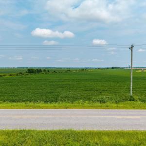Photo #12 of Foreman Bundy, Elizabeth City, NC 20.0 acres
