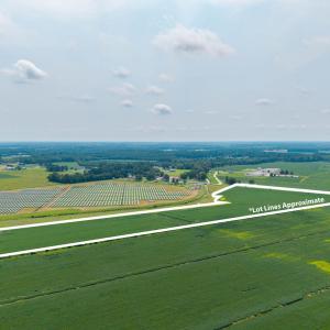 Photo #7 of Foreman Bundy, Elizabeth City, NC 20.0 acres