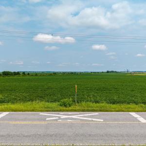Photo #13 of Foreman Bundy, Elizabeth City, NC 20.0 acres