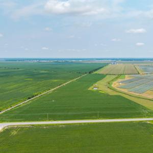 Photo #18 of Foreman Bundy, Elizabeth City, NC 20.0 acres