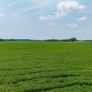 Photo #11 of Foreman Bundy, Elizabeth City, NC 20.0 acres