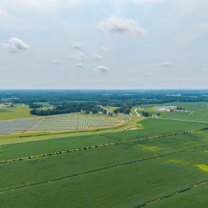 Photo #30 of Foreman Bundy, Elizabeth City, NC 20.0 acres