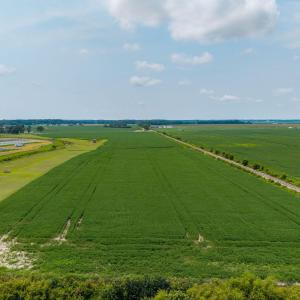 Photo #27 of Foreman Bundy, Elizabeth City, NC 20.0 acres