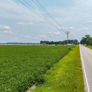 Photo #16 of Foreman Bundy, Elizabeth City, NC 20.0 acres