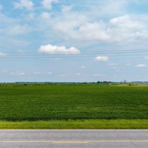 Photo #14 of Foreman Bundy, Elizabeth City, NC 20.0 acres