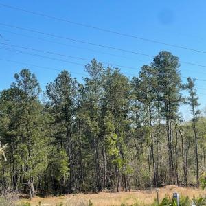 Photo #6 of 617 Hutchinson, North Augusta, SC 6.5 acres