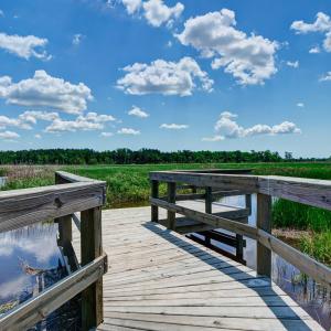 Photo #30 of 1649 Herons View, Wilmington, NC 0.3 acres