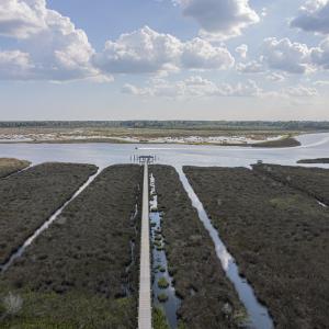 Photo #9 of 136 Southern Marsh, Stella, NC 1.2 acres
