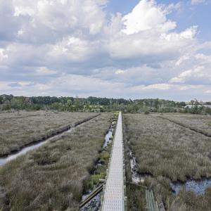 Photo #11 of 124 Southern Marsh, Stella, NC 1.8 acres