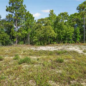 SandersRoadLot-2