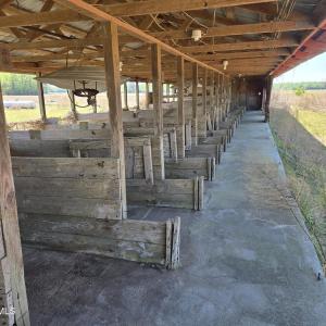 Photo #13 of Tbd Gus Town, Creswell, NC 19.3 acres
