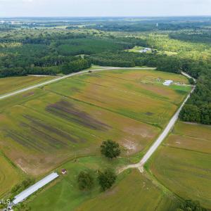 Photo #7 of Tbd Gus Town, Creswell, NC 19.3 acres