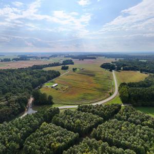 Photo #5 of Tbd Gus Town, Creswell, NC 19.3 acres