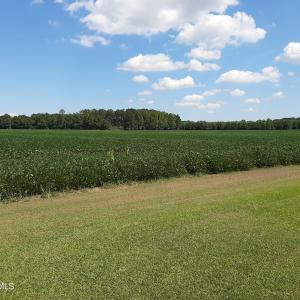 Photo #17 of Tbd Gus Town, Creswell, NC 19.3 acres