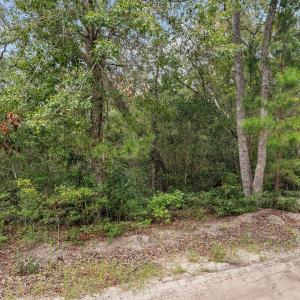 Photo #11 of 175 Boxwood, Bolivia, NC 0.6 acres