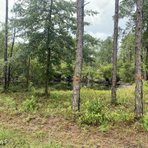 Photo #1 of 120 Dixon, Boiling Spring Lakes, NC 1.0 acres