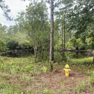 Photo #2 of 120 Dixon, Boiling Spring Lakes, NC 1.0 acres