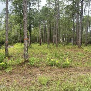 Photo #3 of 120 Dixon, Boiling Spring Lakes, NC 1.0 acres