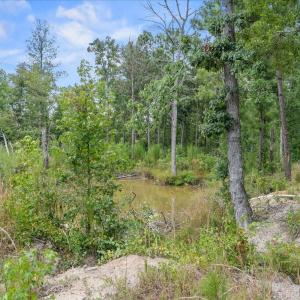 Photo #17 of 92 Sandrock, McCormick, SC 10.9 acres