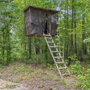 Photo #18 of 92 Sandrock, McCormick, SC 10.9 acres
