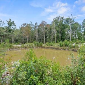 Photo #16 of 92 Sandrock, McCormick, SC 10.9 acres
