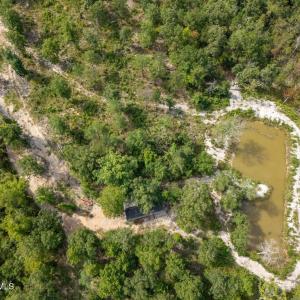 Photo #22 of 92 Sandrock, McCormick, SC 10.9 acres