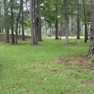 Photo #19 of 417 Mills, Oriental, NC 2.1 acres