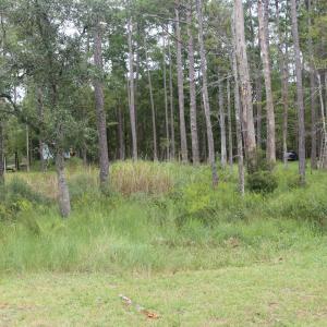 Photo #10 of 417 Mills, Oriental, NC 2.1 acres