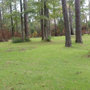 Photo #7 of 417 Mills, Oriental, NC 2.1 acres