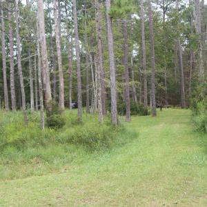 Photo #9 of 417 Mills, Oriental, NC 2.1 acres